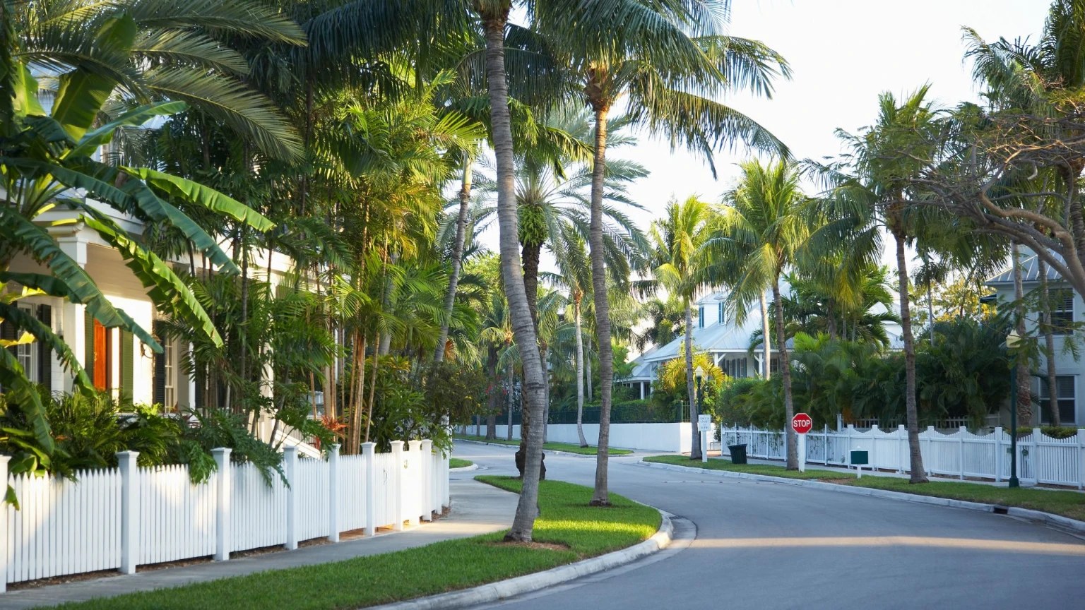Pest control service in Miami Gardens